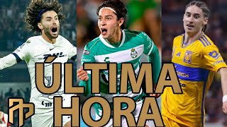 JORDAN CARRILLO, MUY CERCA DE PUMAS | ¿VIENEN LOS HERMANOS FLORES? | ¿CHINO A TIGRES?