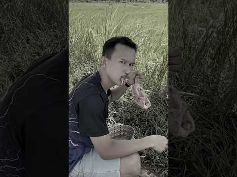 พ่อเป็นปอบแล้ว😱 #ตลก #ขำขัน #ฮาๆ #shortvideo #shorts