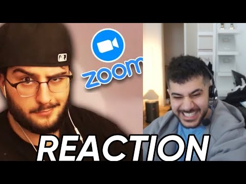 HAMED REAGIERT AUF GLEGGMIRE ZOOM TROLLING