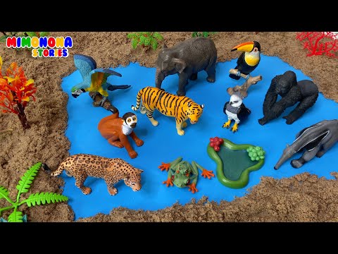 Dinosaurios Animales de la granja Bosque Jungla 🦖🐅🐘 ✨ Mimonona Stories