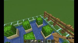 [minecraft 手機版]生存機關教學EP2 -全自動仙人掌機 java1.17+ | 白哥yuanc_oad