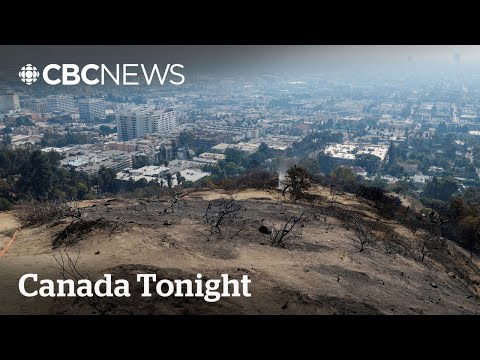 Smoke, debris from Sunset Fire unsafe and cardiologist says N95 masks are needed | Canada Tonight