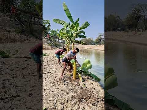 ছেলে টা কি করল এটা #reelsfb #comedy