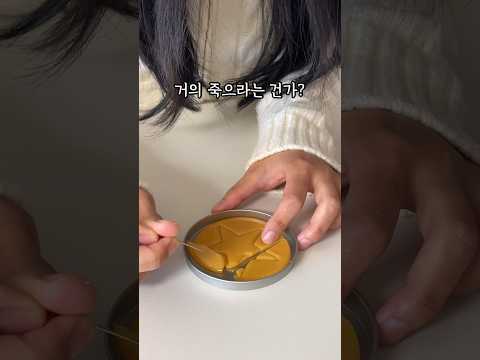 마지막에 성공함ㅋㅋ 진짜임ㅋㅋ