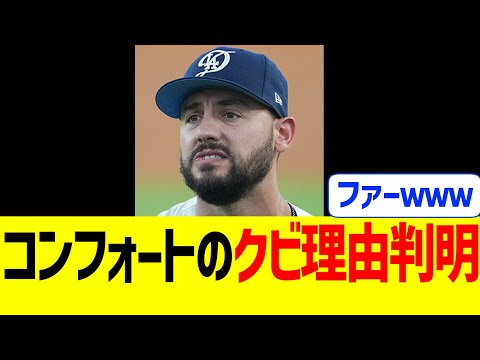 コンフォートの登録クビ理由、こういうことだった