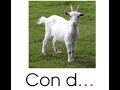 Chữ cái còn thiếu trong từ 'con dê'
