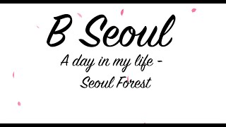 A DAY IN MY LIFE | SEOUL FOREST AND ROOFTOP CAFE