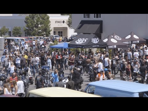 Stance Cycle Zombies Bike & Van Show 2019