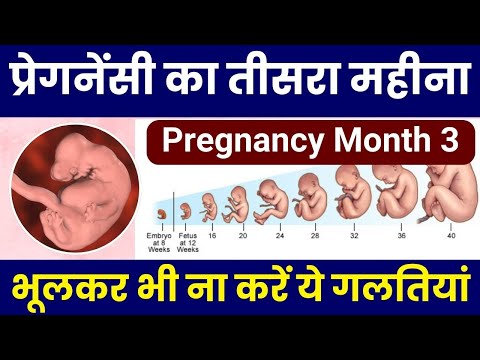 प्रेगनेंसी का तीसरा महीना | Pregnancy 3rd Month | Mistakes to avoid in 3rd month