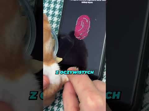 NAUCZYŁ CHOMIKA ODBLOKOWAĆ TELEFON! (@sacitkkral)