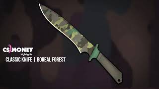 Classic Knife Boreal Forest Gameplay