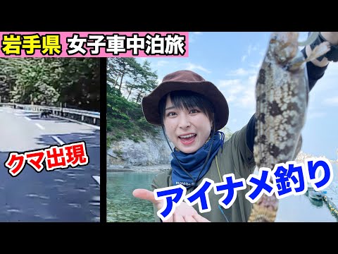 熊にも出会った岩手県旅、浄土ヶ浜で釣りしてみたら超苦戦！そして残念なことに…？【車中泊旅】