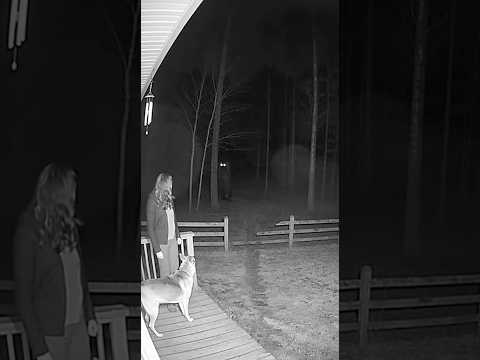 The last recording from the camera