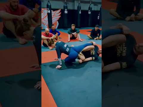 The G-Roll is one of my favorite techniques #bjj #brazilianjiujitsu #jiujitsu #nogi #grappling