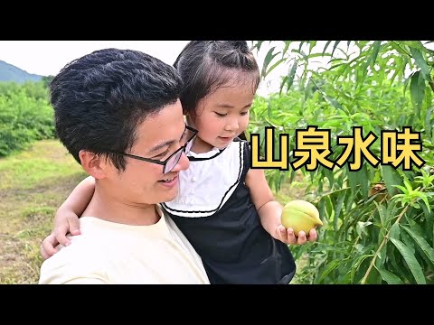 婚前先旅：带娃上山摘鹰嘴桃，山泉水浇灌，老乡送了一堆给我们
