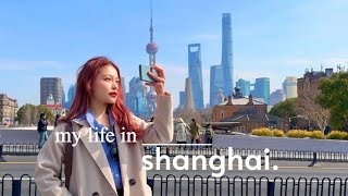 life in shanghai 🥢 best bakeries, crab roe rice 🦀 shopping, in my dog mum era, trendy spots!