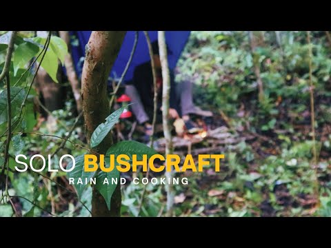 SOLO BUSHCRAFT HEAVY DAY | ASMR Camping