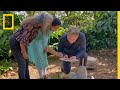 Weaver Ants and Chutney Preparation