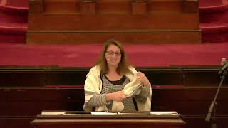 Drash by Rabbi Jessica Zimmerman Graf - May 29, 2026