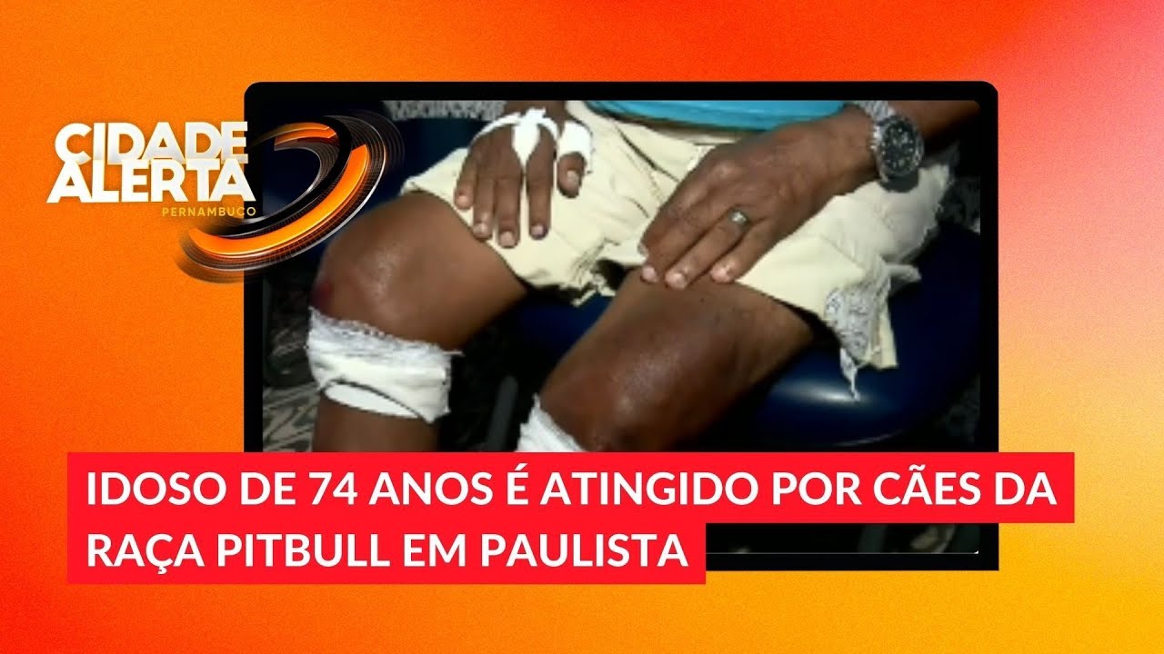 Idoso de 74 anos é atingido por cães da raça pitbull em Paulista