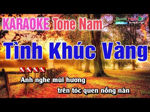 Tình Khúc Vàng Karaoke Tone Nam 8795  –  Nhạc Sống Thanh Ngân