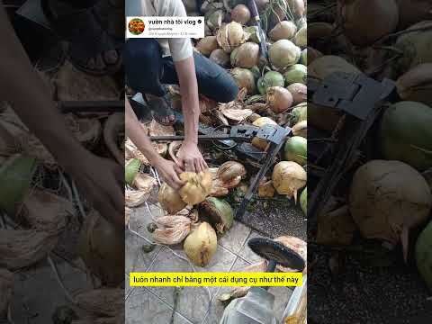 máy tách dừa khô thủ công cực nhanh #garden #videoviral