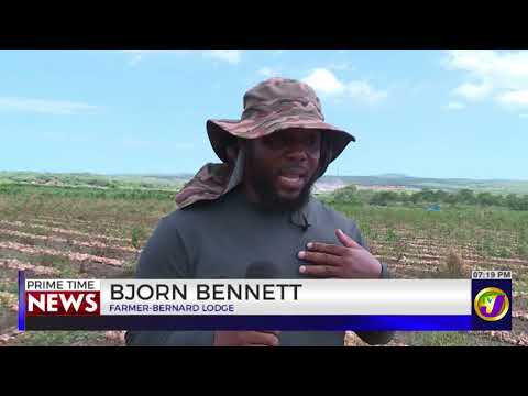 YouTube video thumbnail:  Onion Farmers In St. Catherine Appeal For Market Share 