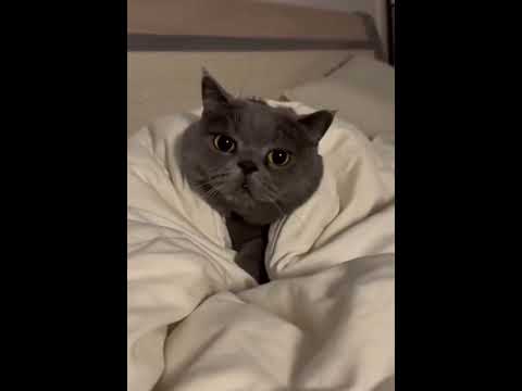 小时后晚上的自己偷看手机