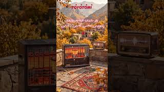 گەڵاڕێزان و ساردی پاییز لەگەڵ تۆیۆتۆمی دەبێتە گەرمی و ئارامی! 🍂✨