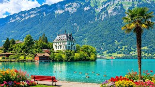 Switzerland’s Most Beautiful Village Iseltwald In Summer🇨🇭Swiss Valley Walking Tour 