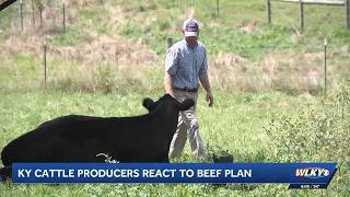 YouTube video thumbnail: Kentucky Cattle Producers React to President Trump's Beef Plan