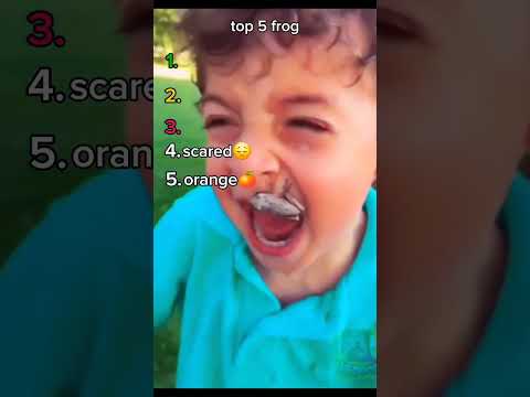 top 5 frogs #funnyvideo #top5 #frogs