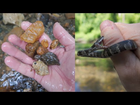 First Time Rockhounding! (for Gemstones) (Crum Creek & Smedley Park, Pennsylvania)