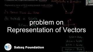 problem on Representation of Vectors