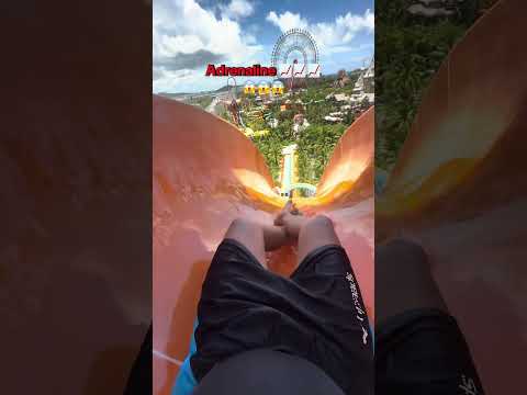 This is crazy 💀💀💀