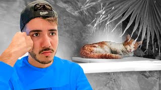 Nos lo Encontramos Herido...