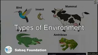 Types of Environment
