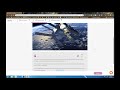 Understanding the Carbon Cycle Concepts