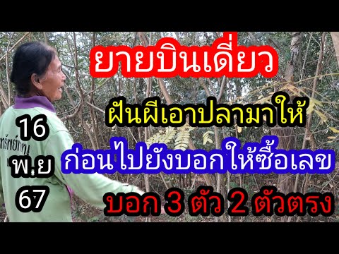 13 ยายบินเดี่ยวฝันผีเอาปลามาให้