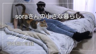 《ひとりと３匹の暮らし》出来ないと思っていた事に挑戦/トマトと卵炒め、インゲンとツナの煮物/60代　#ひとり暮らし  #犬と猫のいる暮らし 