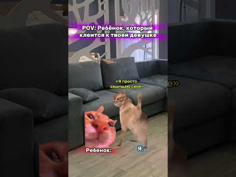 Мемы которые помогают котикам 😼