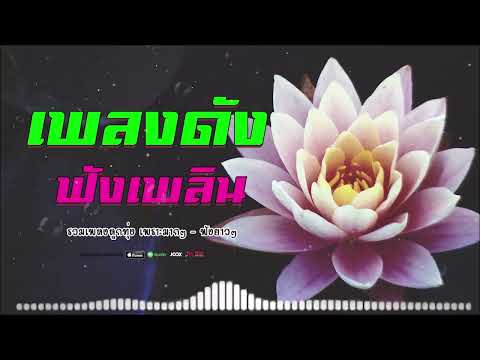 #รวมเพลงลูกทุ่งฟังเพราะ เพลงเพราะน่าฟังยาวๆ