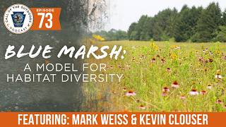 Ep. 73 | Blue Marsh: A Model for Habitat Diversity