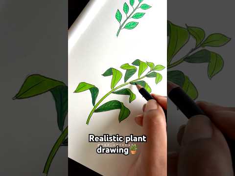 Tutorial: How to draw realistic plant🪴#Shorts #Trending