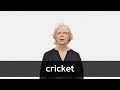 Questions sur le cricket