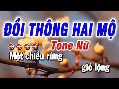 Karaoke Đồi Thông Hai Mộ Nhạc Sống Tone Nữ | Beat Bảo Hưng