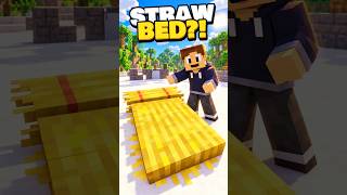 This Minecraft Bed Breaks After ONE Use!