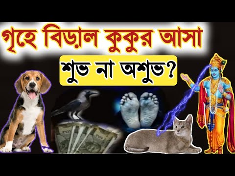 গৃহে বিড়াল কুকুর আসা শুভ না অশুভ | কি সংকেত বহন করে | কি বলছেন শ্রীকৃষ্ণ? Garud Puran