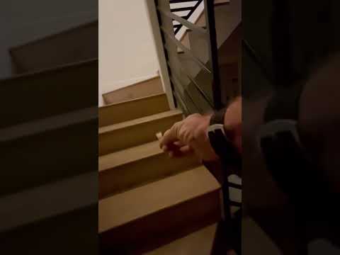 Return to The Squatter House To Remove Some Stragglers