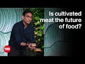 Cultivated Meat: A Sustainable Future